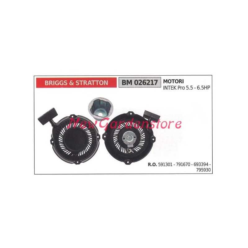 Inbetriebnahme BRIGGS & STRATTON Rasenmäher Motor Rasenmäher 026217