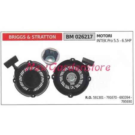Inbetriebnahme BRIGGS & STRATTON Rasenmäher Motor Rasenmäher 026217 | NewgardenParts.com