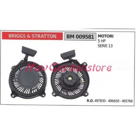 Start-up BRIGGS & STRATTON lawn mower engine lawn mower 5 HP 009581 | NewgardenParts.com
