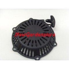 ORIGINAL GGP ALPINA CASTELGARDEN lawn mower engine SV 200 | NewgardenParts.com
