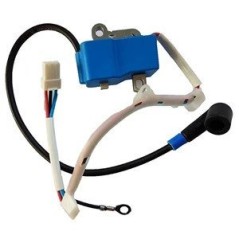 IGNITION MODULE 581723604 ORIGINAL HUSQVARNA | NewgardenParts.com