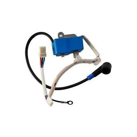 MÓDULO DE ENCENDIDO 581723604 ORIGINAL HUSQVARNA | NewgardenParts.com