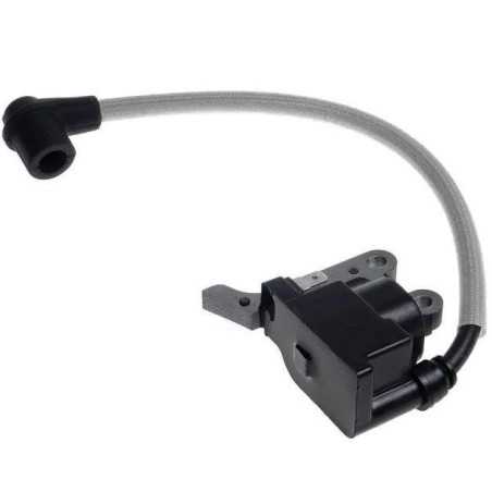 MODULO ACCENSIONE 588849001 ORIGINALE HUSQVARNA | NewgardenParts.com