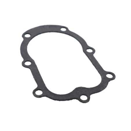 Original BRIGGS & STRATTON Dichtung für Rasenmähermotor 27752 | NewgardenParts.com
