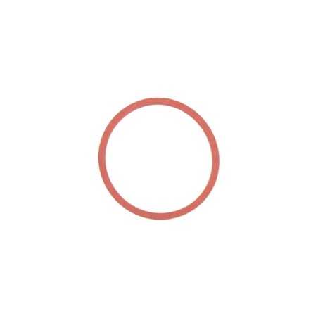 BRIGGS & STRATTON lawn mower filter carburettor gasket 691917 | NewgardenParts.com