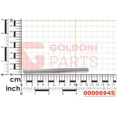 RESSORT D'HÉLICE CONIQUE ORIGINAL GOLDONI 00006945 | NewgardenParts.com