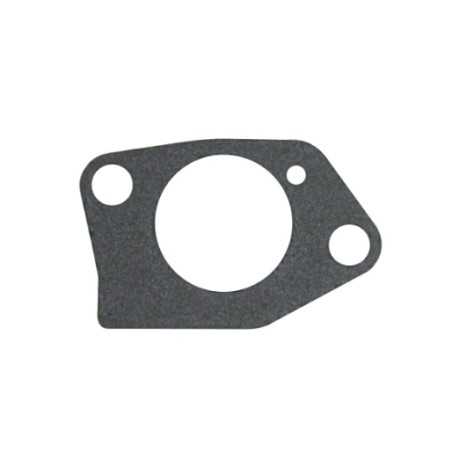 ORIGINAL LONCIN lawn mower carburettor seal 170430099-0001 | NewgardenParts.com