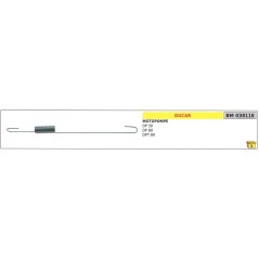 Ressort de régulateur de vitesse DUCAR pour motopompe DP 50 80 DPT 80 038118 | NewgardenParts.com