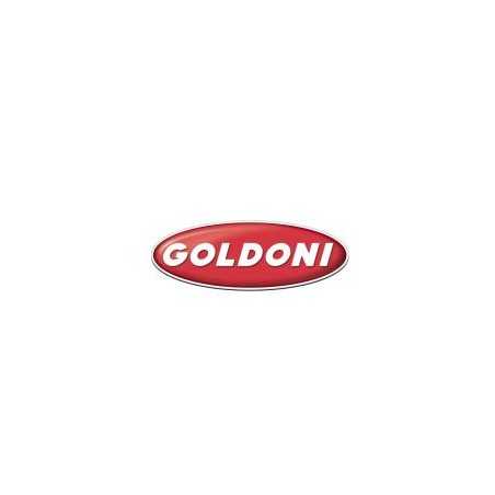 LEVER RETAINING SPRING ORIGINAL GOLDONI 00058989 | NewgardenParts.com
