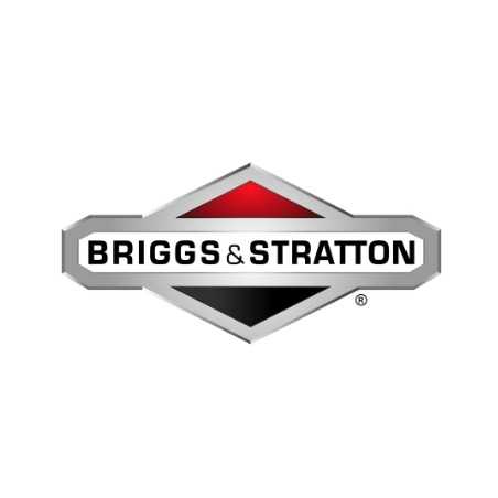 ORIGINAL BRIGGS & STRATTON Rasentraktor-Riemenspannfeder 165X130MA | NewgardenParts.com