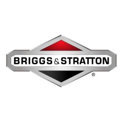 ORIGINAL BRIGGS & STRATTON muelle cortacésped 165X155MA | NewgardenParts.com