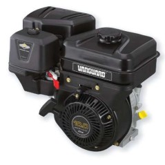 Motore BRIGGS & STRATTON albero orizzontale VANGUARD 10 Hp 305 cc 19L237-0319-F1