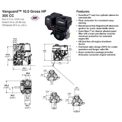 Moteur BRIGGS & STRATTON arbre horizontal VANGUARD 10 Hp 305 cc 19L237-0319-F1 | NewgardenParts.com