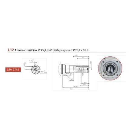 Motore completo benzina ZANETTI ZBM270BL12 272cc albero cilindrico Ø25.4 COMPACT