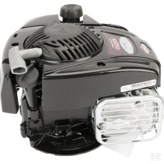 Complet BRIGGS & STRATTON 625E 150cc moteur léger volant 22x80 frein oui | NewgardenParts.com