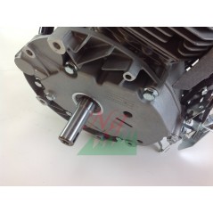 Moteur DAYE complet pour moteur DY1P70FA code 022810 | NewgardenParts.com