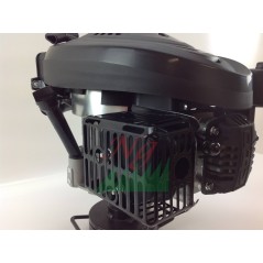 Kompletter DAYE-Motor für DY1P70FA Motorhacke Code 022810 | NewgardenParts.com