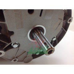 Kompletter DAYE-Motor für DY1P70FA Motorhacke Code 022810 | NewgardenParts.com