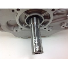 Kompletter Motor Motorgrubber ZANETTI BENZINA ZBM270L3E Elektrostart | NewgardenParts.com