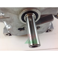 Motore COMPLETO trattorino rasaerba VANGUARD 23Hp 627 cc bicilindrico GIANNI FERRARI | NewgardenParts.com