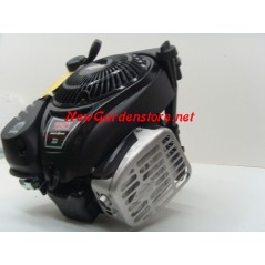 Moteur de tondeuse BRIGGS & STRATTON 750 READY START 161cc DOV 22X80 | NewgardenParts.com
