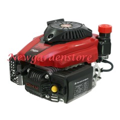 Moteur complet de tondeuse à gazon NGP T100 3,5HP 99cc OHV shaft22x60mm 202020 | NewgardenParts.com