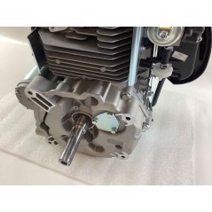 Complete engine LONCIN TRE0701 heavy duty flywheel 432cc vertical shaft | NewgardenParts.com
