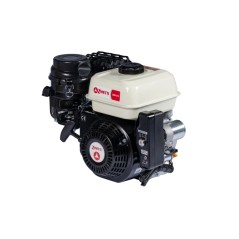 Motor complete ZANETTI ZBM210L4V 208 cc cylindrical shaft of 20 self-winding | NewgardenParts.com