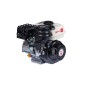 Motore completo ZANETTI ZBM210L4V 208 cc albero cilindrico Di 20 autoavvolgente