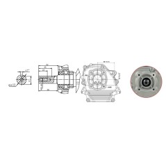 Motore completo ZANETTI ZBM210L4V 208 cc albero cilindrico Di 20 autoavvolgente | NewgardenParts.com