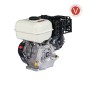 Motore completo ZANETTI ZBM270BC1MV 272 cc albero conico Di 23 COMPACT benzina