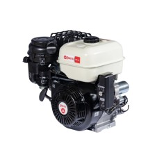 Motor komplett ZANETTI ZBM420C3EV 420 cc konische Welle Von 22,16 elektrisch | NewgardenParts.com