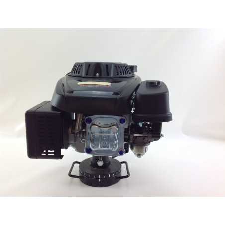 Complete LONCIN engine 1P70FA 196 cc shaft 22 x 80 cardan drive | NewgardenParts.com