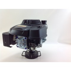 Complete LONCIN engine 1P70FA 196 cc shaft 22 x 80 cardan drive | NewgardenParts.com