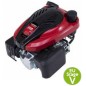 LONCIN moteur complet volant léger EURO 5 arbre vertical 22.2X60 159 cc LONCIN moteur complet volant léger EURO 5 arbre vertical 22.2X60 159 cc