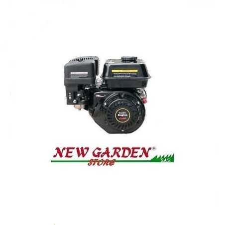 OHV-Motor 4-Takt-Rasentraktor Rasenmäher 6,5 PS | NewgardenParts.com