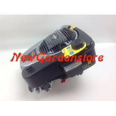 Motore rasaerba completo BRIGGS & STRATTON 850 volano pesante 25 x 80 completo | NewgardenParts.com