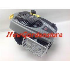 Motore rasaerba completo BRIGGS & STRATTON 850 volano pesante 25 x 80 completo | NewgardenParts.com