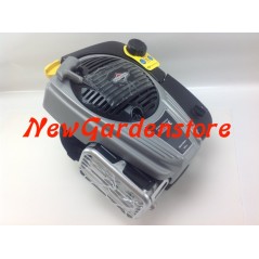 Motore rasaerba completo BRIGGS & STRATTON 850 volano pesante 25 x 80 completo | NewgardenParts.com