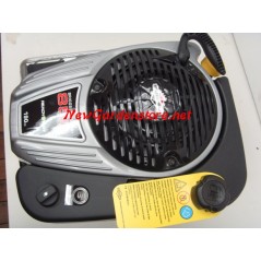 Motore rasaerba completo BRIGGS & STRATTON 850 volano pesante 25 x 80 completo | NewgardenParts.com