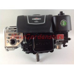 Motore volano pesante 25x80 BRIGGS 875 completo RIDER trattorino 190 cc 6 HP | NewgardenParts.com