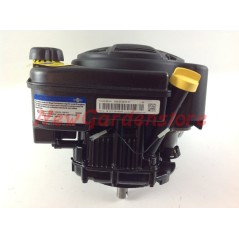 BRIGGS 875 Schwerlastmotor mit Schwungrad 25x80 komplett RIDER Rasentraktor 190cc 6 PS | NewgardenParts.com