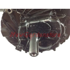 Motore volano pesante 25x80 BRIGGS 875 completo RIDER trattorino 190 cc 6 HP | NewgardenParts.com