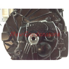BRIGGS 875 Schwerlastmotor mit Schwungrad 25x80 komplett RIDER Rasentraktor 190cc 6 PS | NewgardenParts.com