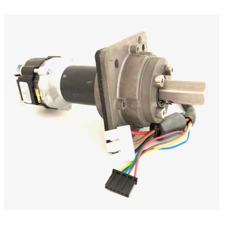 Moteur de roue Ambrogio - 4.0 / 4.36 / Techline BX4 / LX6 : 042Z22500A_R | NewgardenParts.com