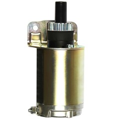 Motor de arranque para cortacésped BRIGGS & STRATTON 691564 | NewgardenParts.com