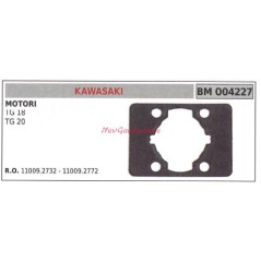 Zylinderdichtung KAWASAKI Freischneider TG 18 20 004227 | NewgardenParts.com