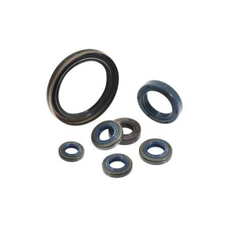 Kurbelwellendichtring STAR VIP XB BC 25-50 cc GGP STIGA 3121070 | NewgardenParts.com