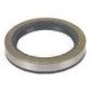 Oil seal for DUCAR DP 80 generator DTP 80 crankshaft 25x41,25x6 mm 038074