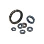 Rasenmäher-Öldichtung 294 295 303 305 BRIGGS & STRATTON 805049